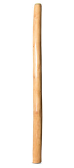 Earl Clements Didgeridoo (EC491)